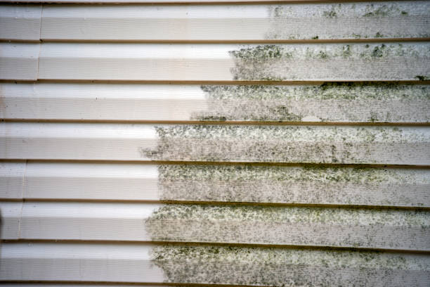  Audubon Park, NJ Siding Installation Pros