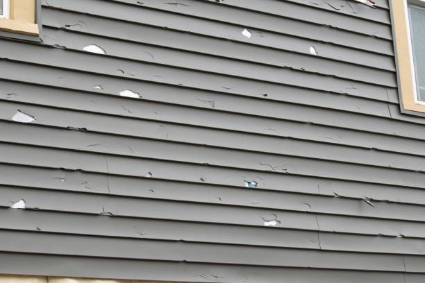 Best Residential Vinyl Siding Installation  in Audubon Park, NJ