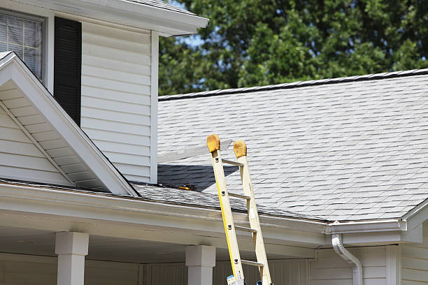 Best Insulated Siding Installation  in Audubon Park, NJ