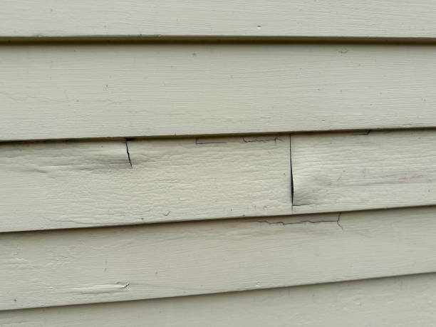 Best Composite Siding  in Audubon Park, NJ
